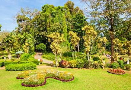 Sri Lanka: Relax and Rejuvenate