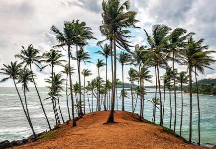 Luxury Travel Folks  - Island Adventures