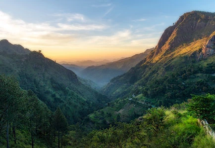 Ella Valley Views