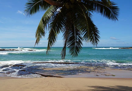 Sri Lanka: Relax and Rejuvenate