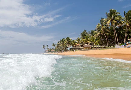 Sri Lanka: Relax and Rejuvenate