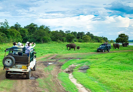 Luxury Travel Folks  -  Romance in Paradise