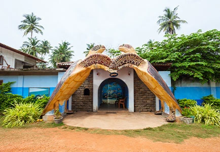 Sri Lanka: Relax and Rejuvenate