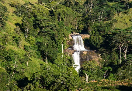 Luxury Travel Folks  - Island Adventures