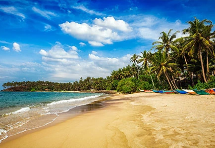 Luxury Travel Folks  - Island Adventures