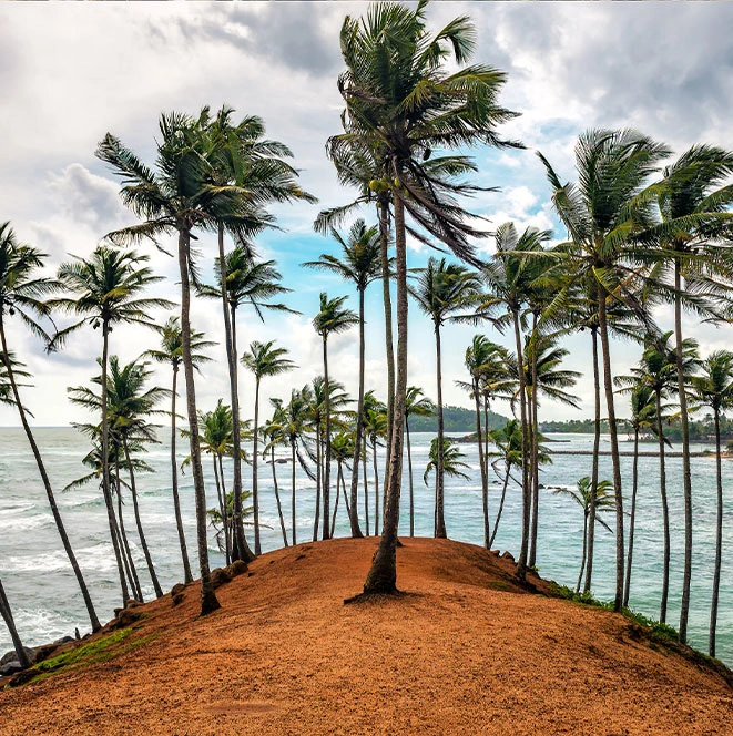 Authentic Connection