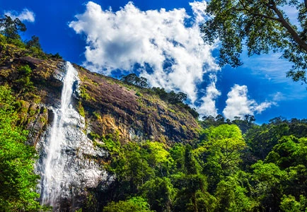Sri Lanka: Relax and Rejuvenate